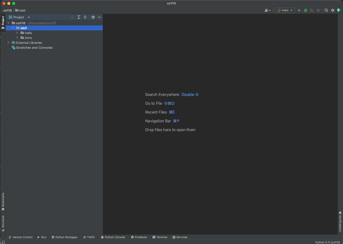 cs110 project in PyCharm